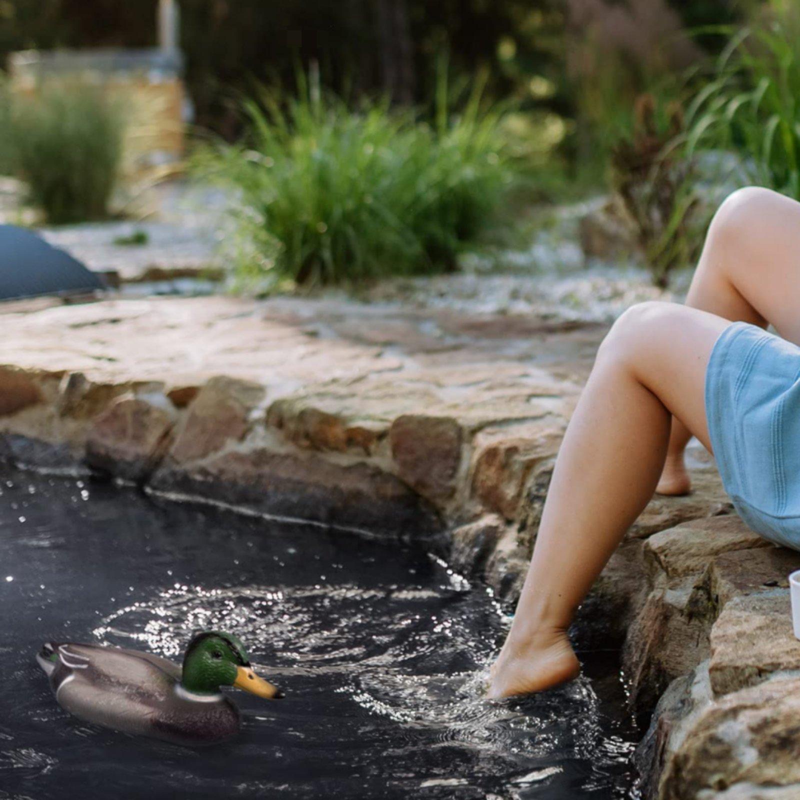 Floating Duck Decoy Realistic  - đánh giá và giá Hunting & Outdoor Supplies Vanderbijlpark