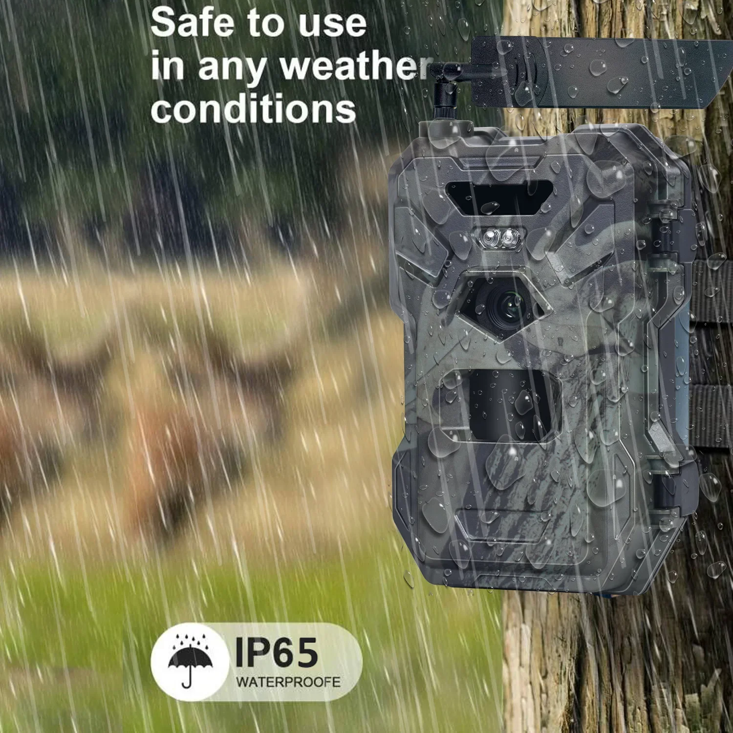 HC-880Pro 4G 30MP HD 2K Night  - đánh giá và giá Outdoor Hunting Camera Wireless