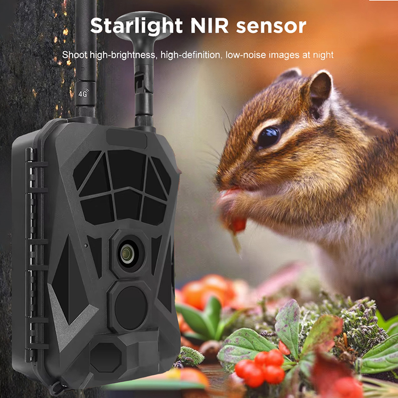 Trail Camera 4G GPS Wireless I - đánh giá và giá Outdoor Hunting Camera Wireless