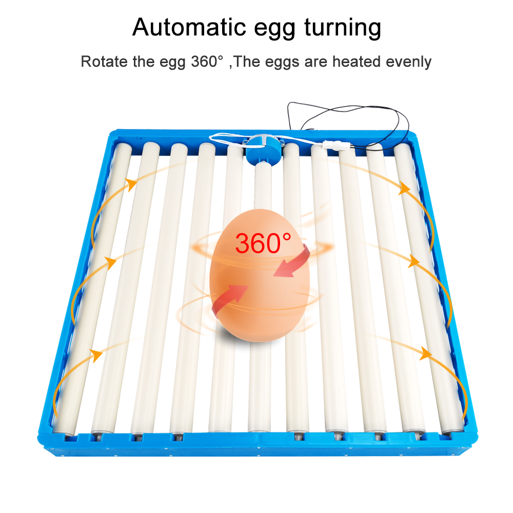 70 Eggs Incubator Automatic 36 - đánh giá và giá Hunting Quail