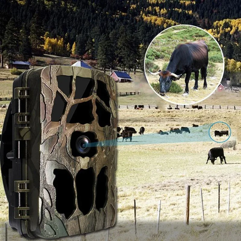 H982 IP66 Chống Thấm Nước 4K H - đánh giá và giá Outdoor Hunting Camera Wireless