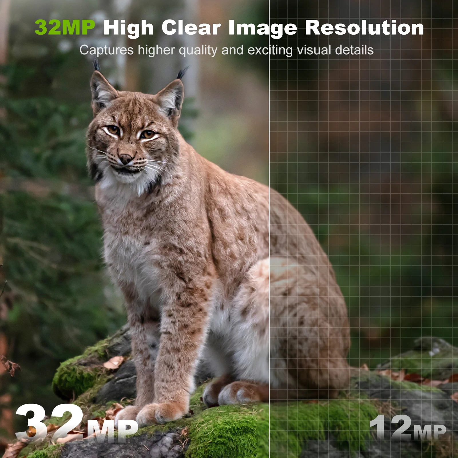 Solar Camera Outdoor Wireless  - đánh giá và giá Outdoor Hunting Camera Wireless