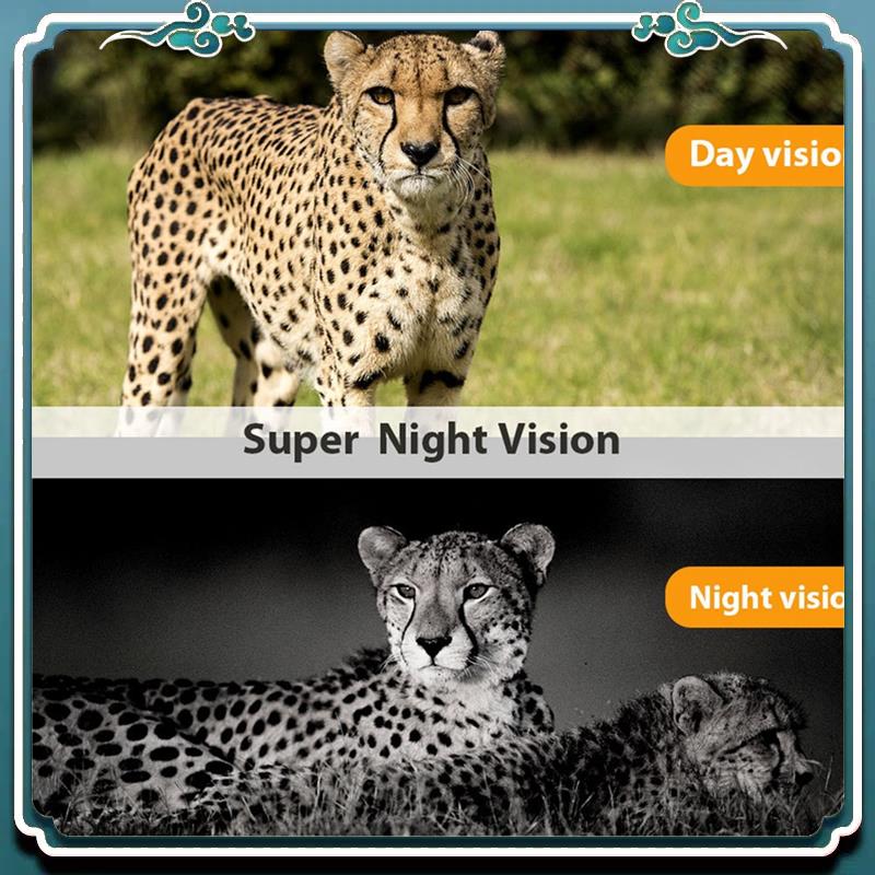 Wildlife Hunting Camera HC-801 - đánh giá và giá Outdoor Hunting Camera Wireless